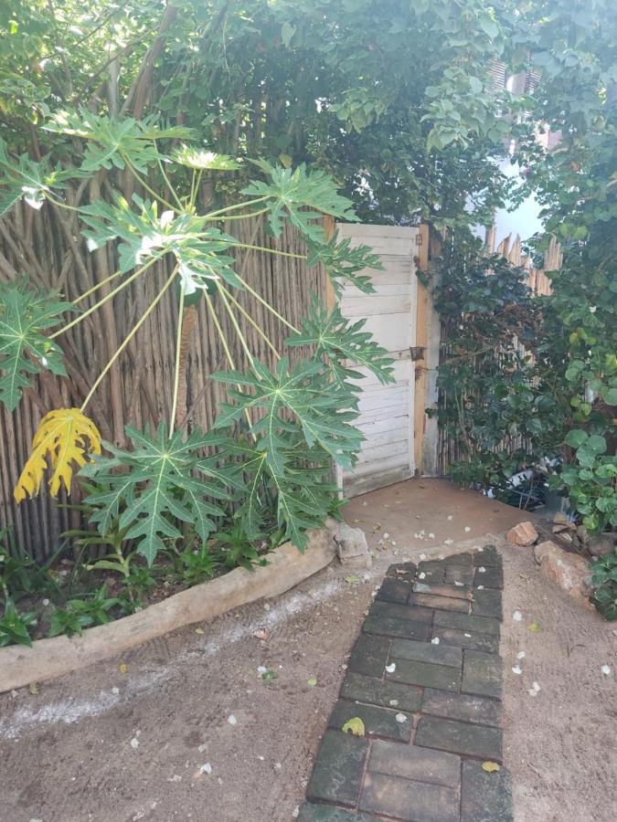 Casa Tonantzin Hotel Zipolite Ngoại thất bức ảnh